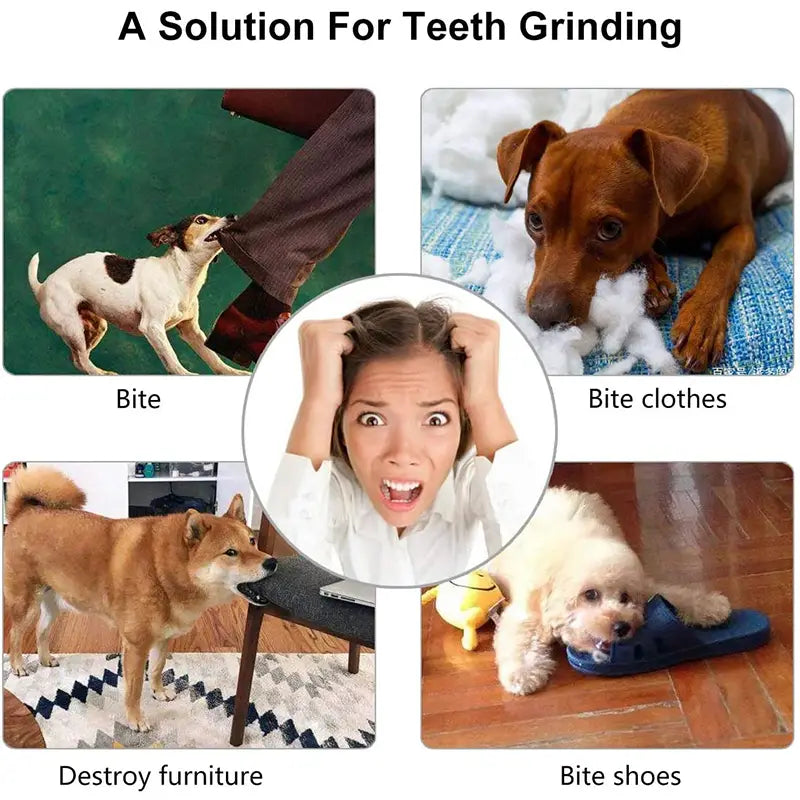 Chew Treat Ball