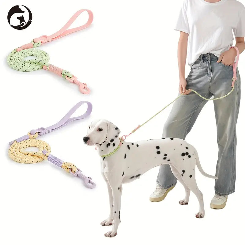 Reflective Leash & Collar Set