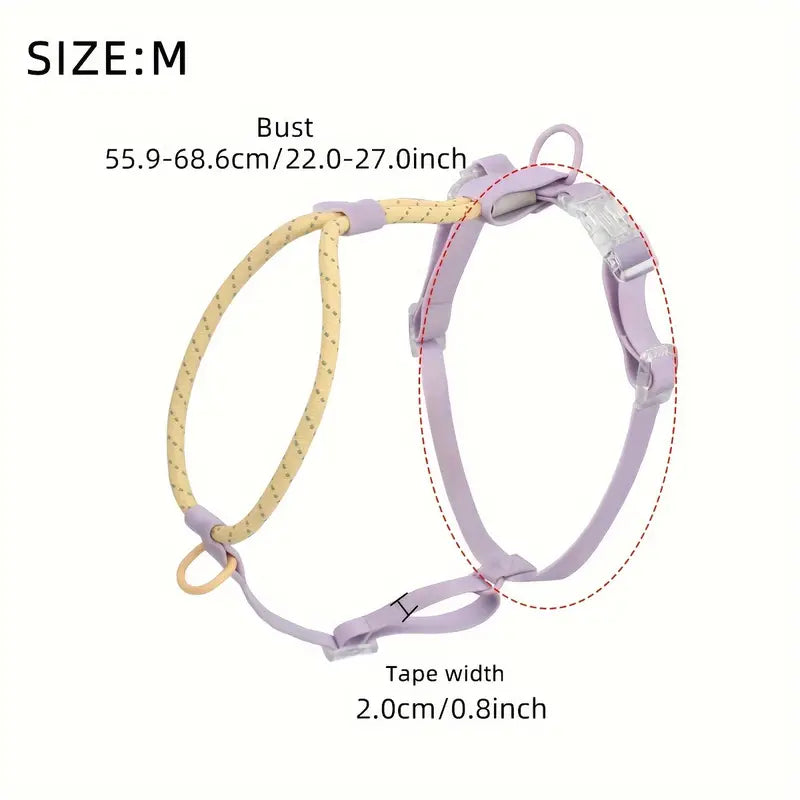 Harness