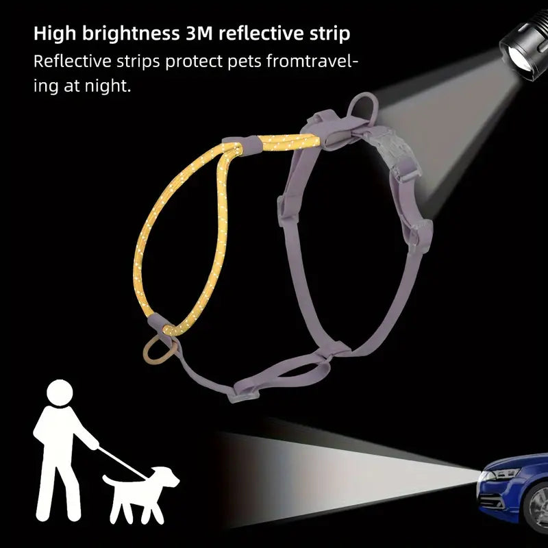 Harness