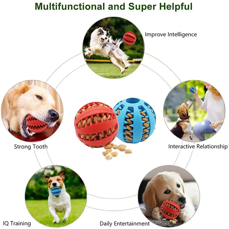 Chew Treat Ball
