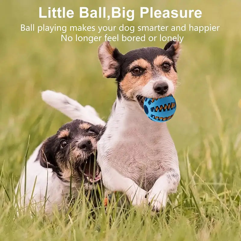 Chew Treat Ball