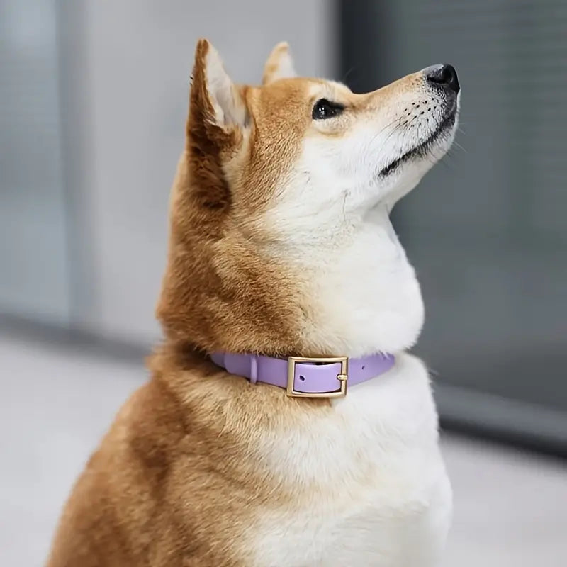 Waterproof Collar